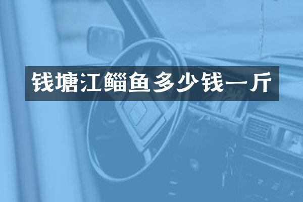 钱塘江鲻鱼多少钱一斤