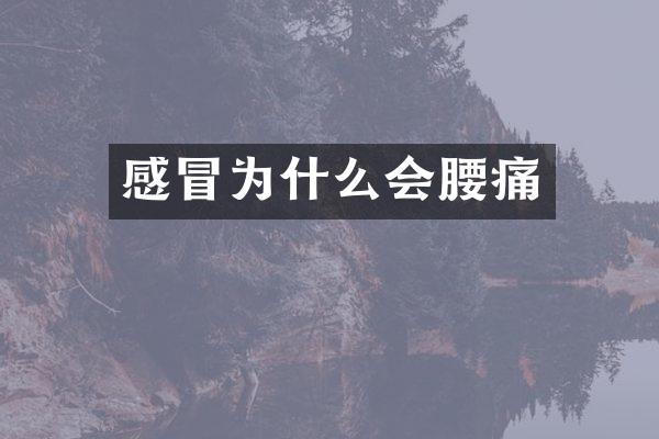 感冒为什么会腰痛