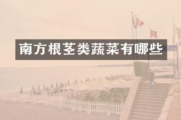 南方根茎类蔬菜有哪些