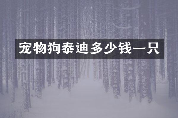 宠物狗泰迪多少钱一只