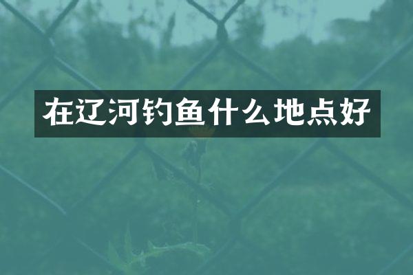 在辽河钓鱼什么地点好
