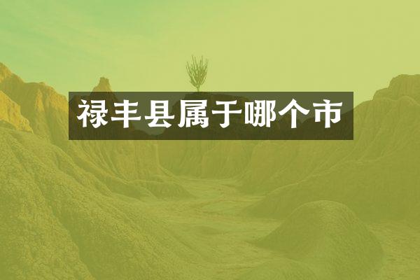 禄丰县属于哪个市