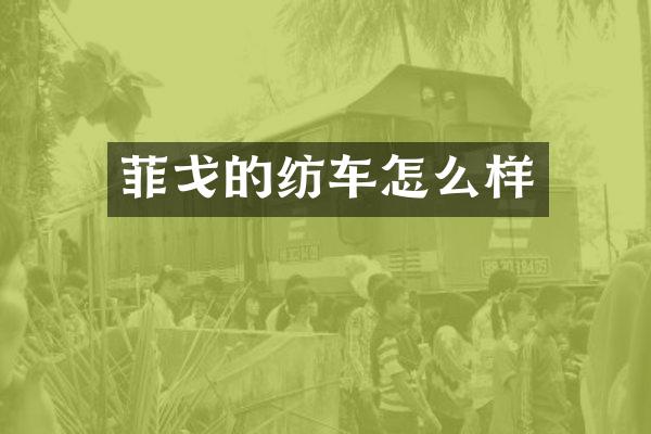 菲戈的纺车怎么样