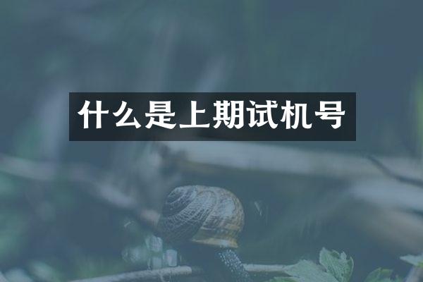 什么是上期试机号