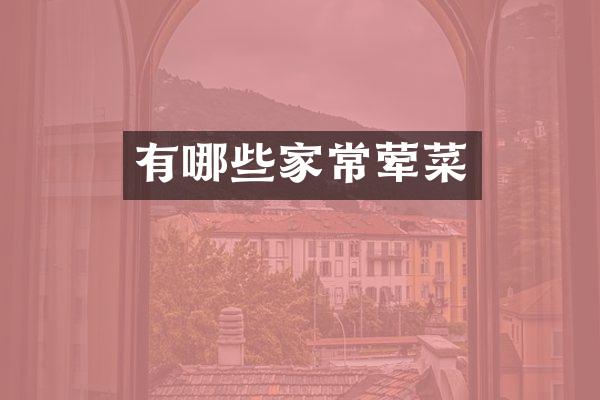 有哪些家常荤菜