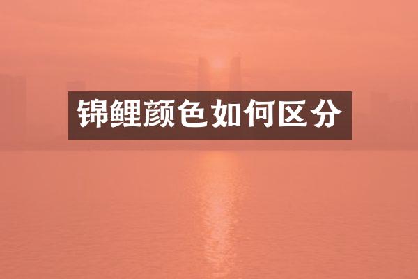 锦鲤颜色如何区分