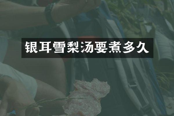 银耳雪梨汤要煮多久