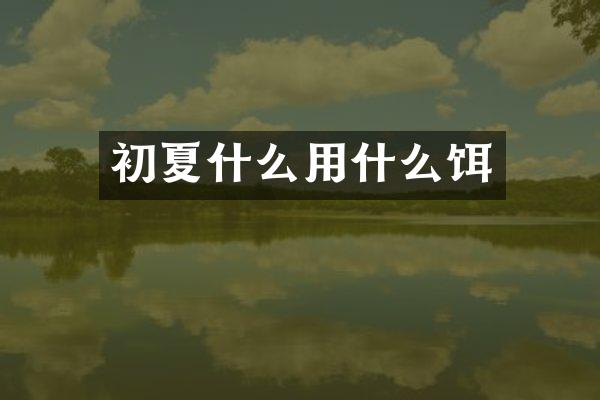 初夏什么用什么饵