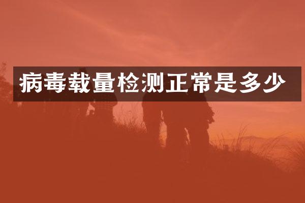 病毒载量检测正常是多少
