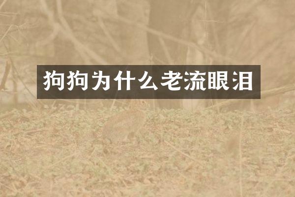 狗狗为什么老流眼泪