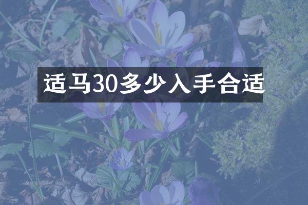 适马30多少入手合适