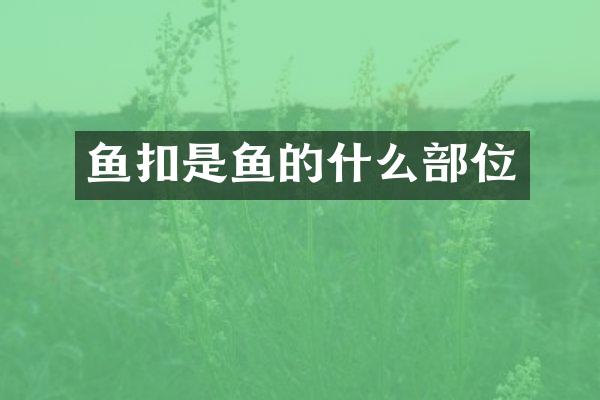 鱼扣是鱼的什么部位