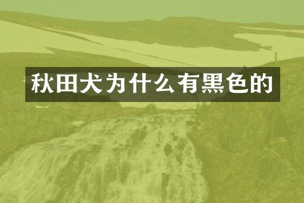 秋田犬为什么有黑色的