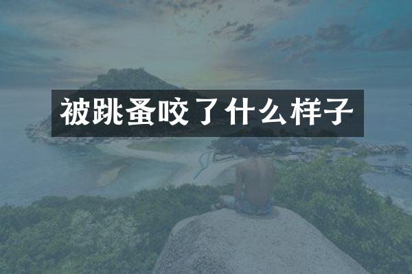 被跳蚤咬了什么样子