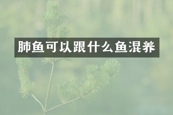 肺鱼可以跟什么鱼混养
