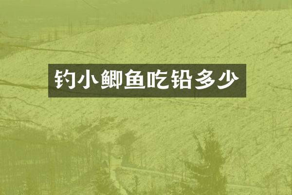 钓小鲫鱼吃铅多少
