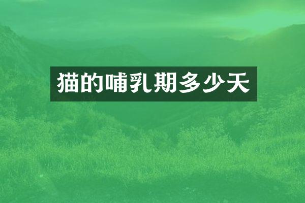 猫的哺乳期多少天