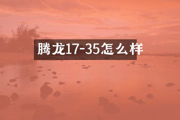 腾龙17-35怎么样