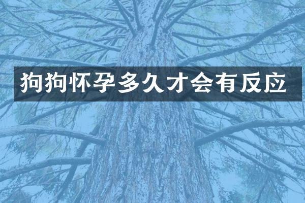 狗狗怀孕多久才会有反应