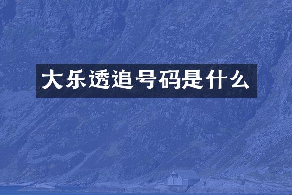 大乐透追号码是什么