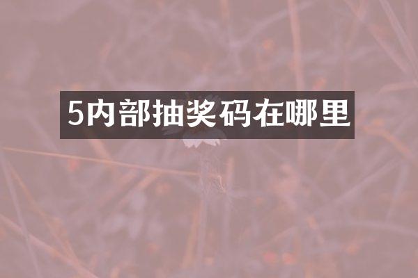 5内部抽奖码在哪里