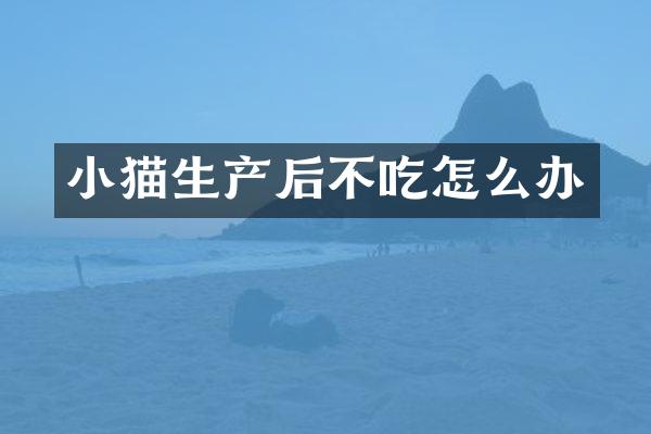 小猫生产后不吃怎么办