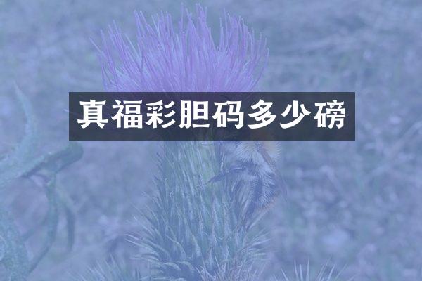 真福彩胆码多少磅