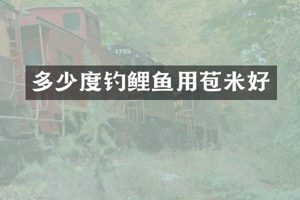 多少度钓鲤鱼用苞米好