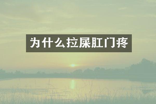 为什么拉屎肛门疼