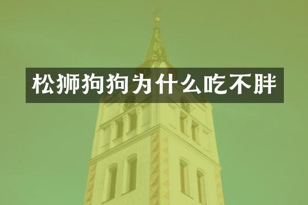松狮狗狗为什么吃不胖