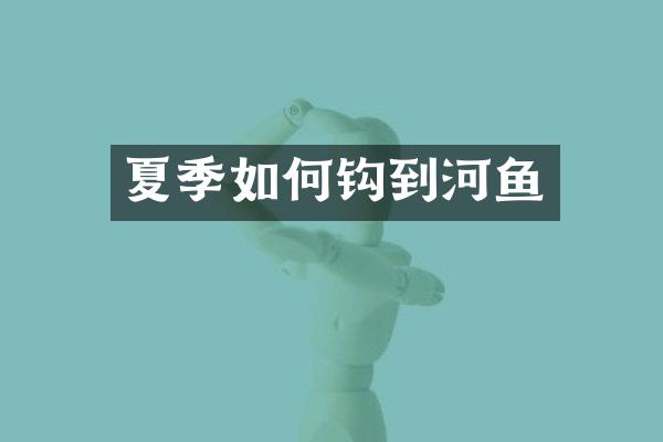 夏季如何钩到河鱼