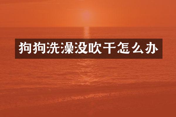 狗狗洗澡没吹干怎么办