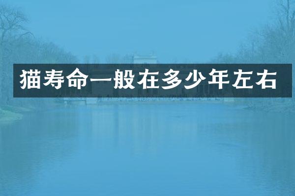 猫寿命一般在多少年左右