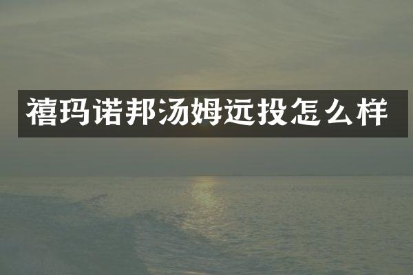 禧玛诺邦汤姆远投怎么样