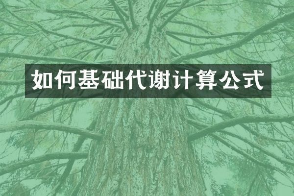 如何基础代谢计算公式