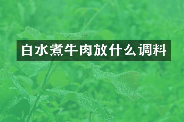 白水煮牛肉放什么调料
