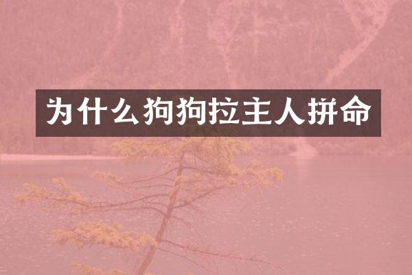 为什么狗狗拉主人拼命