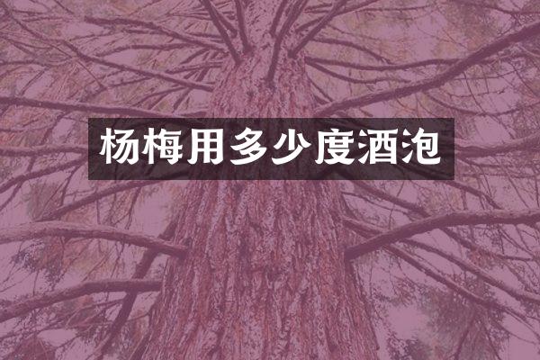 杨梅用多少度酒泡