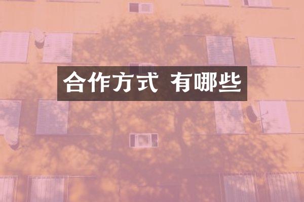 合作方式 有哪些