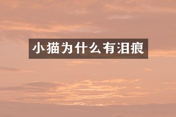 小猫为什么有泪痕