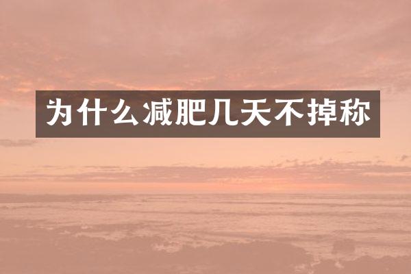 为什么减肥几天不掉称