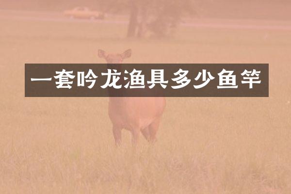 一套吟龙渔具多少鱼竿