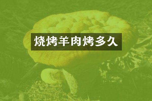 烧烤羊肉烤多久