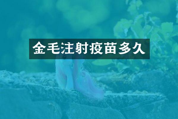金毛注射疫苗多久