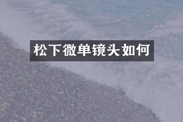 松下微单镜头如何