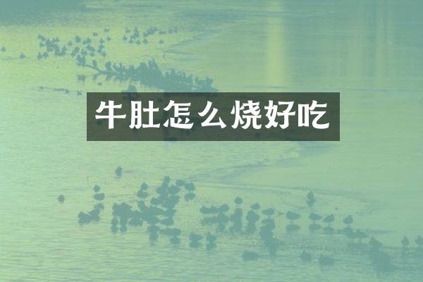 牛肚怎么烧好吃
