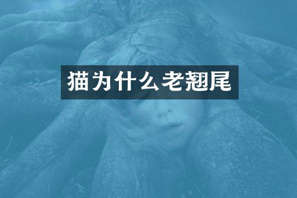 猫为什么老翘尾