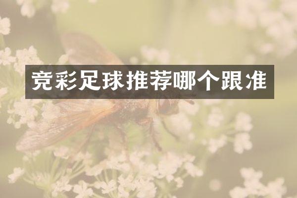 竞彩足球推荐哪个跟准