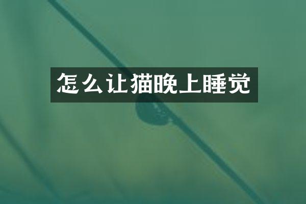 怎么让猫晚上睡觉