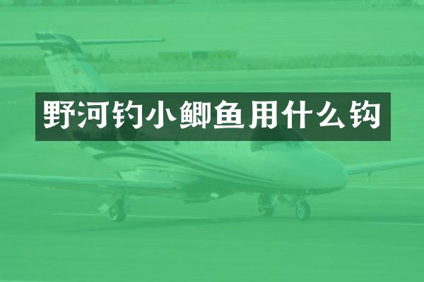 野河钓小鲫鱼用什么钩